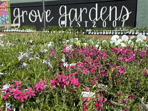 grove gardens