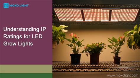 Grow Light Ratings