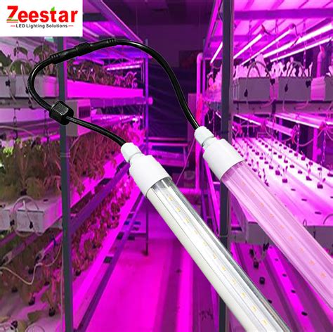 grow light t8