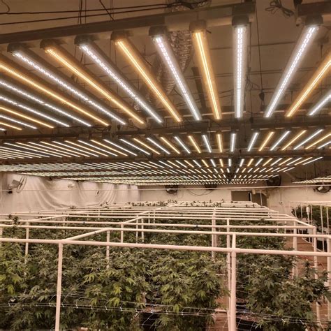 Grow Lights In Ceiling