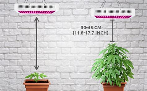 Grow Lights Too Close