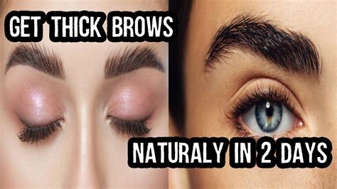 Grow Longer Eyebrows