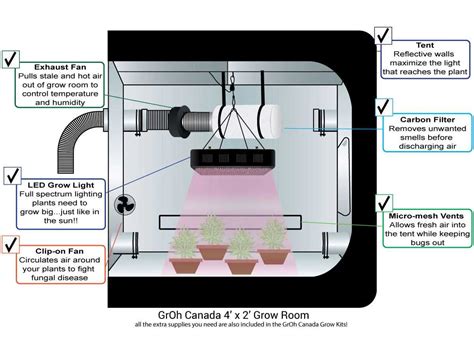 Grow Tent Setup Nz