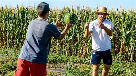 Growing Corn And Melons Together