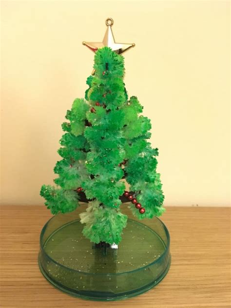 Growing Crystals Christmas Tree