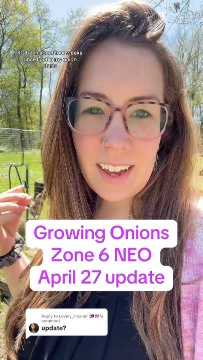 Growing Onions Zone 6