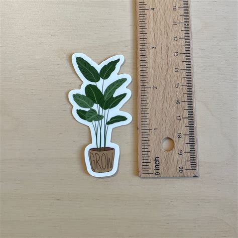 Growth Sticker