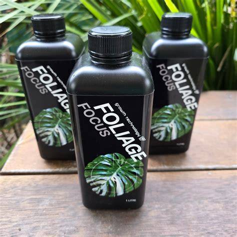 Information What Is Growth Technology Gt Foliage Focus? A Clear Overview for 2026 Guide