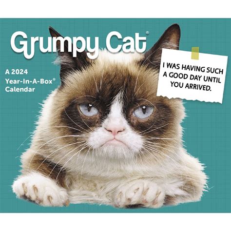 Grumpy Cat Desk Calendar 2024: The Perfect Addition To Your Workspace