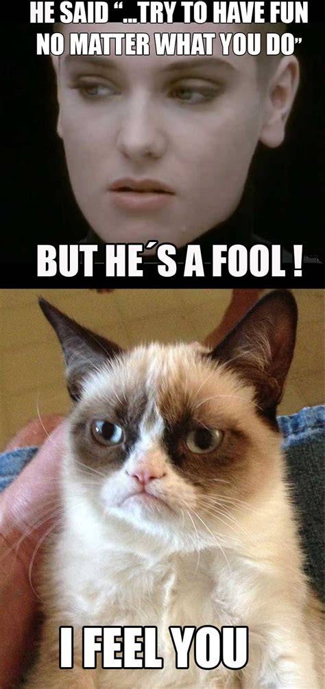 Reverse Tard Grumpy Cat Know Your Meme