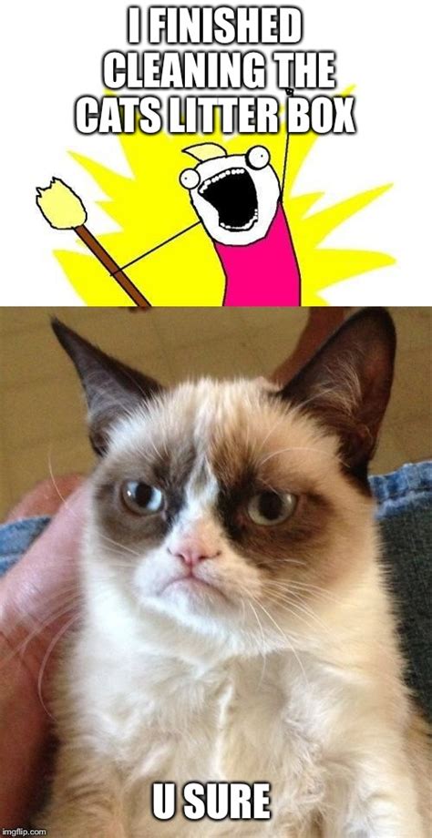Grumpy Cat Litter Box Memes