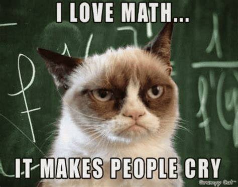 29 Grumpy Cat Memes Math Funny grumpy cat memes, Grumpy cat humor