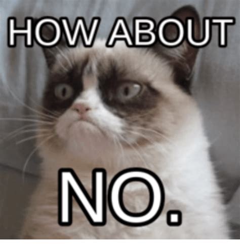 Grumpy Cat Expect...No Grumpy Cat Know Your Meme