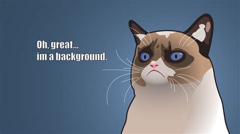 Grumpy Cat Wallpapers High Quality Download Free