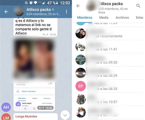 grupos de telegram +14