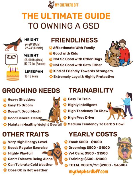gsd guide