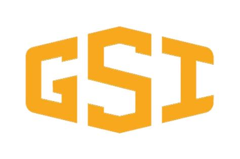 gsi group paris il