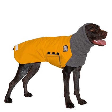 Gsp Dog Jacket