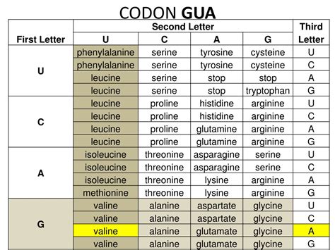 Gua Codon Chart