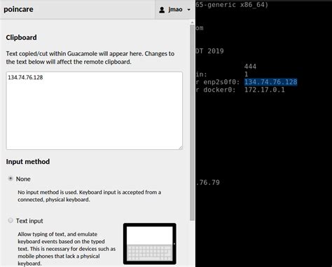 Guacamole Copy/Paste Without Clipboard
