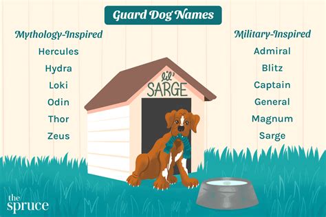 Guard Dog Names Boy