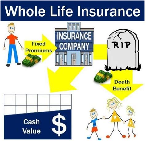 guardian whole life insurance policy