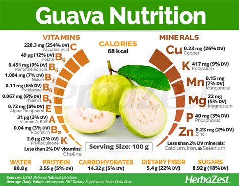 Guava Vitamins List