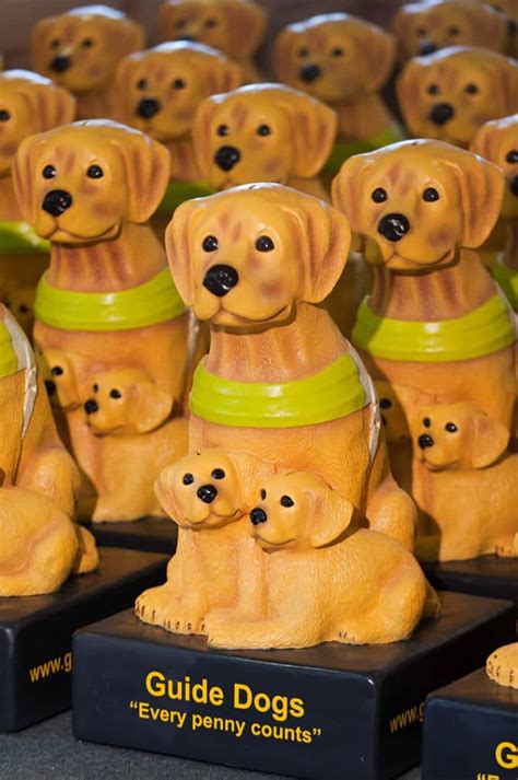 Guide Dog Charity Shops