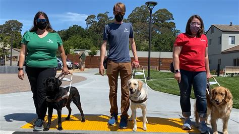 guide dog for the blind campus