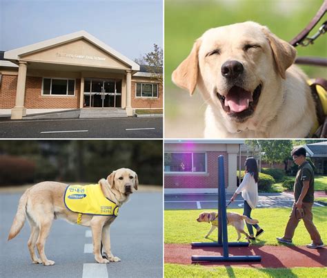 guide dog schools in the us