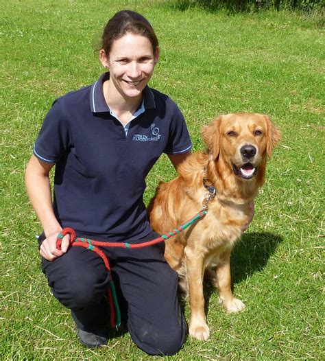 guide dog trainer career