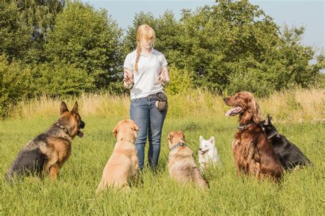 guide dog trainer salary