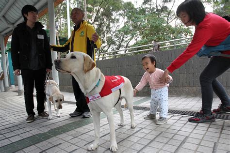 guide dog training centre