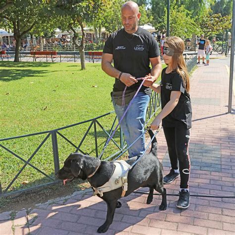 guide dog training course