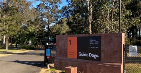 guide dogs centre near me
