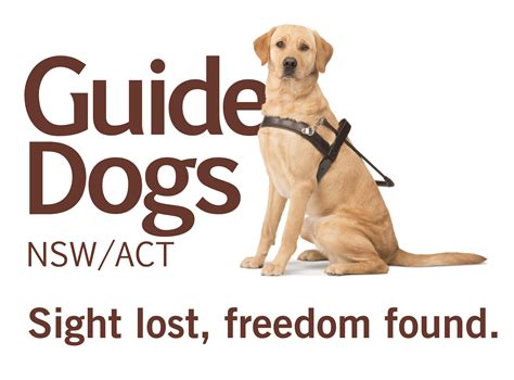 guide dogs charity address