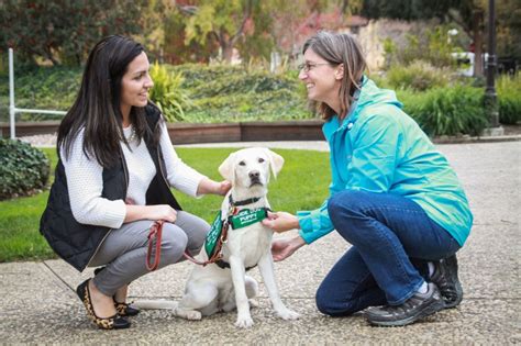 guide dogs for the blind volunteer work
