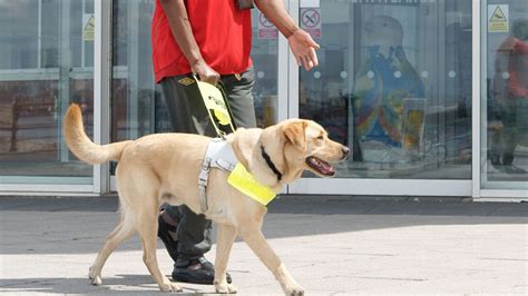 guide dogs free welfare