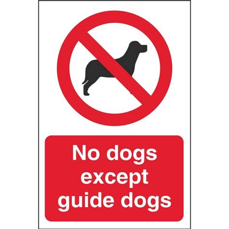 guide dogs head office address