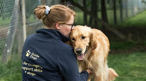 guide dogs jobs board