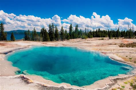 guided tours yellowstone park reviews