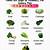 guinea lynx vegetable chart