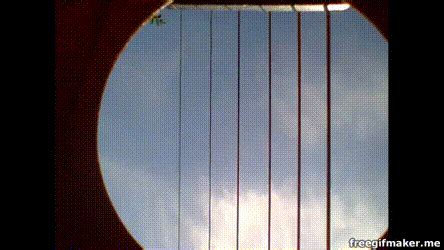 Guitar Strings Vibrating Gif