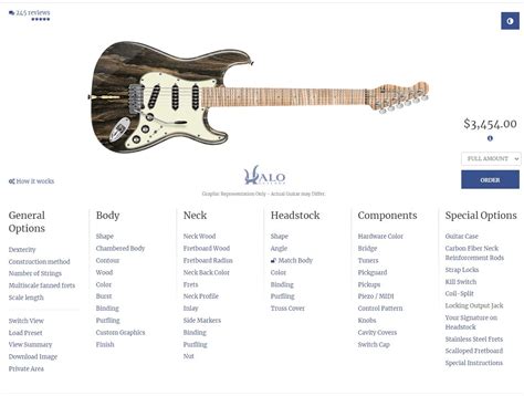 Guitar Customization
