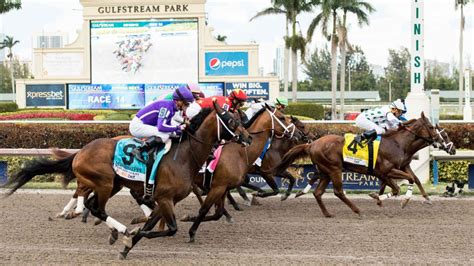 gulfstream park horse racing odds
