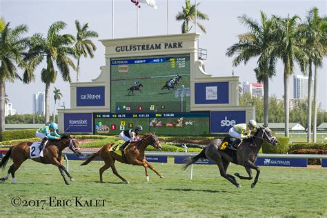 gulfstream park racing selections