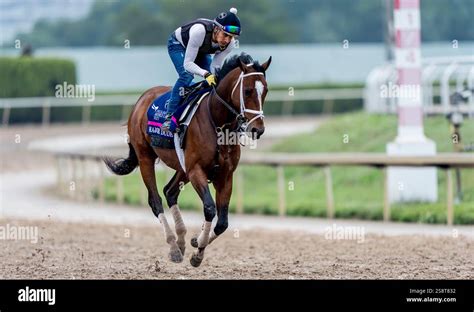 gulfstream park workouts