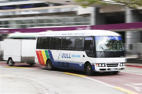 gull bus geelong to melbourne airport