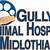 gully animal hospital midlothian
