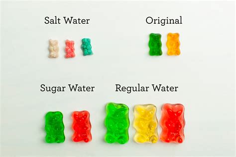 Gummy Bear Candy Experiment